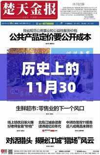 揭秘，历史上的西极冰最新作品——11月30日篇章重磅出炉！