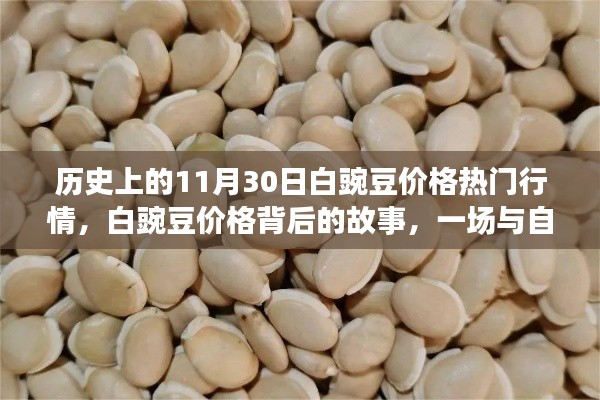 探寻自然美景背后的故事,揭秘历史白豌豆价格行情之旅