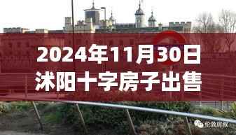 沭阳十字房子市场趋势深度解析，热门出售与多元观点探讨