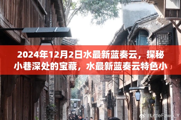 探秘水最新蓝奏云，小巷深处的宝藏与特色小店之旅