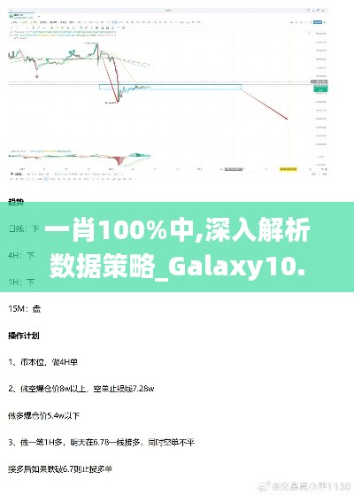 一肖100%中,深入解析数据策略_Galaxy10.327