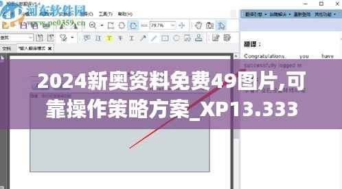 2024新奥资料免费49图片,可靠操作策略方案_XP13.333