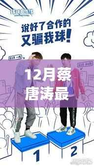 蔡唐涛十二月奇遇,友情、家庭与冬日的温暖故事