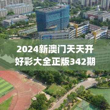 2024新澳门天天开好彩大全正版342期,实效性计划设计_MP9.695