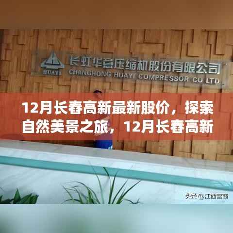 探索自然美景之旅,揭秘长舂高新股价背后的宁静力量与绿意盎然股市