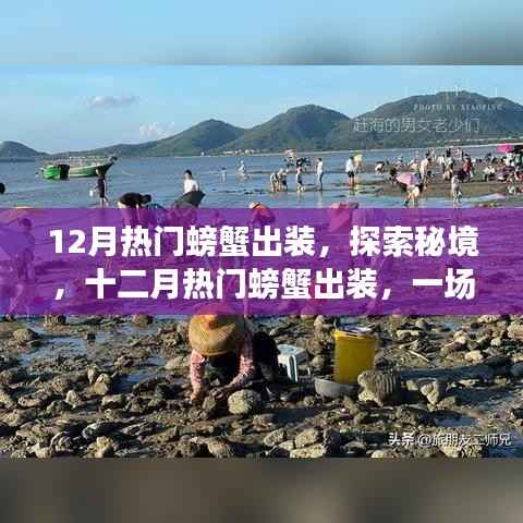 十二月螃蟹出装大热!探索秘境,开启平静螃蟹旅行记