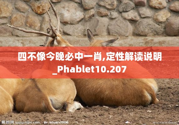 四不像今晚必中一肖,定性解读说明_Phablet10.207