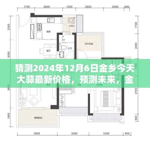 2024年12月6日金乡大蒜最新价格预测，未来动向分析