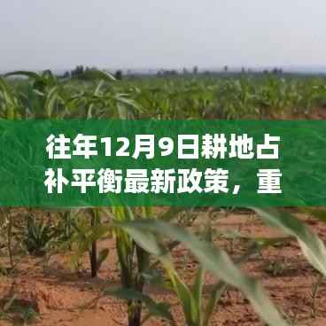 科技革新下的耕地占补平衡新政策与智能耕地助手,重塑农业生态体验之旅重磅推出!