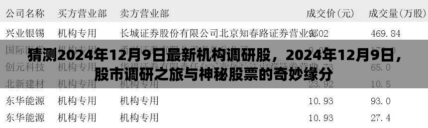 揭秘机构调研之旅,探寻神秘股票与股市的奇妙缘分(预测2024年12月9日最新动态)