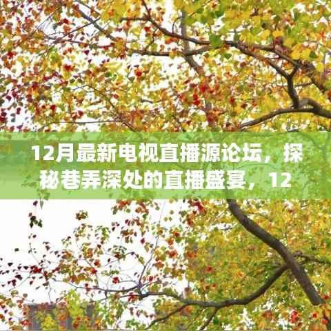 探秘直播盛宴,12月最新电视直播源论坛特色小店之旅