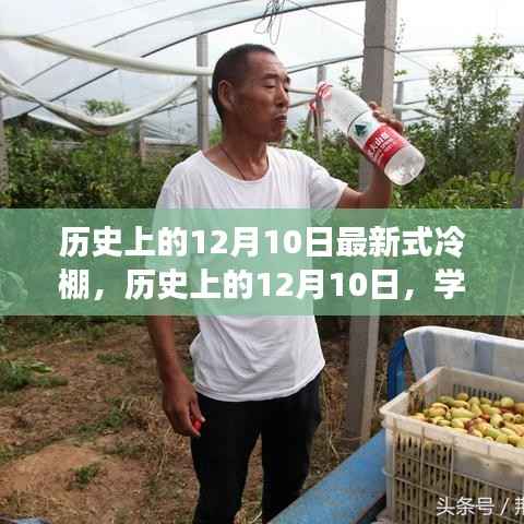 历史上的12月10日,最新式冷棚搭建详细指南