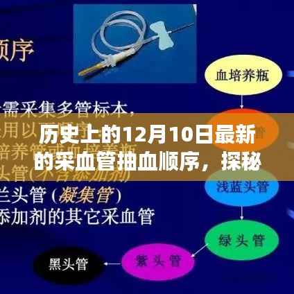 纲举目张 第3页