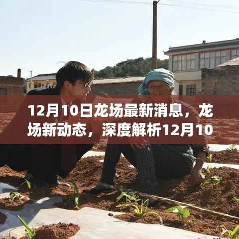 深度解析,龙场最新动态与消息速递(12月10日更新)