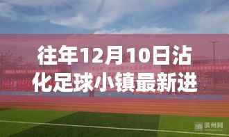 沾化足球小镇,绿茵场上的自然之旅与心灵觉醒的最新进展(往年12月10日)
