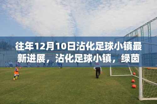 沾化足球小镇,绿茵场上的自然之旅与心灵觉醒的最新进展(往年12月10日)