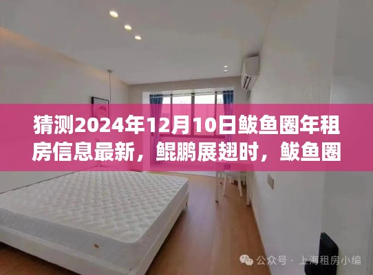 鲅鱼圈租房市场新篇章,2024年最新年租房信息预测,学习变化成就梦想之港