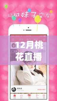 12月桃花直播App热门版本详解与使用指南,从新手到进阶的全程指导