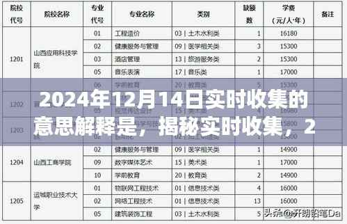 揭秘实时收集深层意义,解析数据收集的深层含义在2024年12月14日的重要性