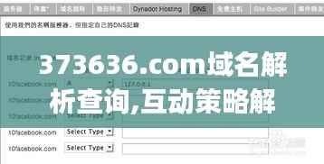 373636.com域名解析查询,互动策略解析_VIP2.424