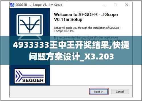 4933333王中王开奖结果,快捷问题方案设计_X3.203