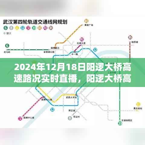 阳逻大桥高速实时路况直播报道,2024年12月18日路况详解