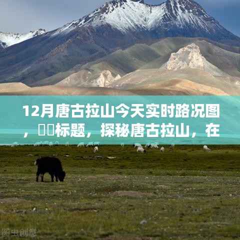 探秘唐古拉山,雪域高原路况实时探秘与内心宁静之旅