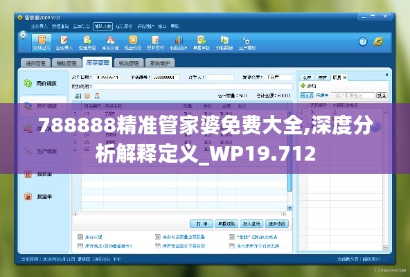 788888精准管家婆免费大全,深度分析解释定义_WP19.712
