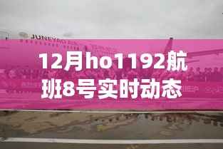 揭秘十二月HO1192航班8号全程精彩瞬间,独家实时动态记录曝光!