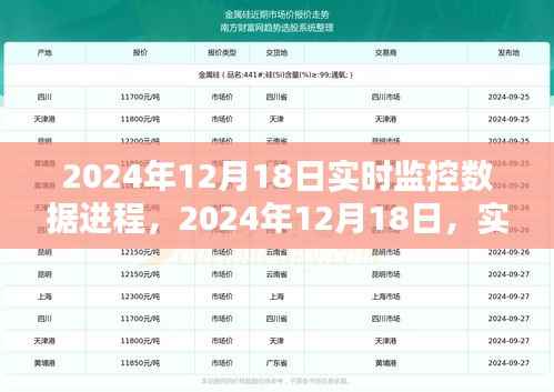 2024年12月18日实时监控数据进程的时代里程碑