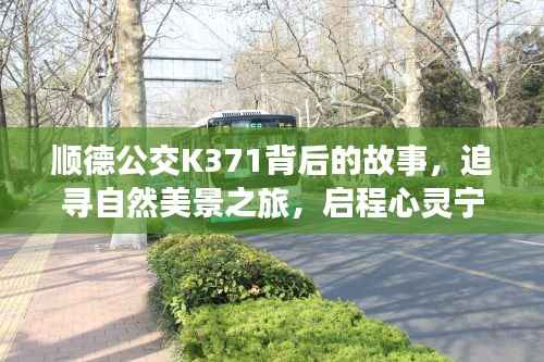 顺德公交K371背后的故事，追寻自然美景与心灵宁静之旅