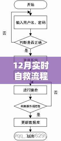 12月实时自救流程图详解