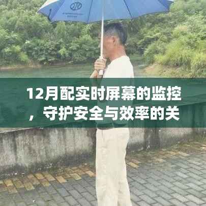实时屏幕监控,守护安全与效率,12月必备之选