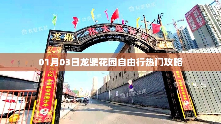 龙鼎花园自由行指南,热门攻略一网打尽