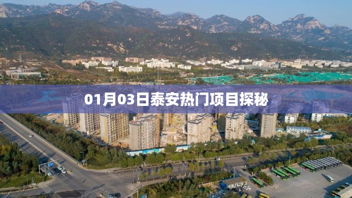 一本正经 第3页