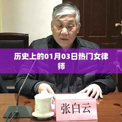 热门女律师在历史上的重要时刻,一月三日回顾