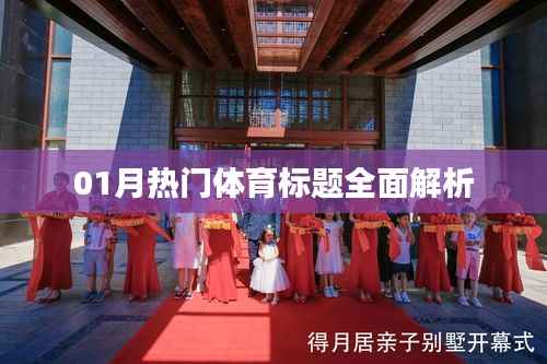 体育热点一月解析报告