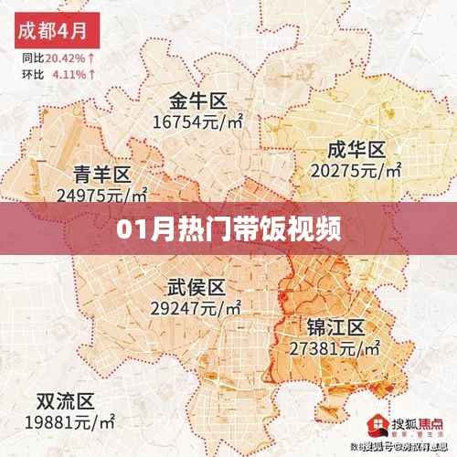 热门带饭视频来袭,一月精选不容错过