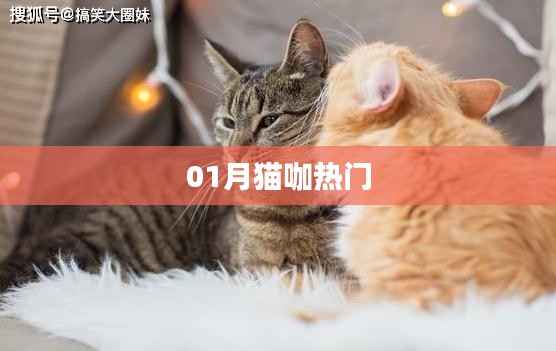 仙风道骨 第3页