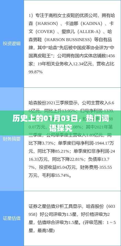 揭秘历史热门词汇背后的故事,一月三日探源