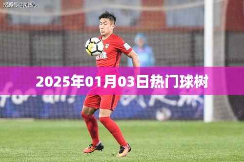 热门球树,2025年1月3日盛事在即