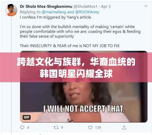 跨越文化与族群，华裔血统的韩国明星闪耀全球