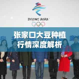 纲举目张 第2页