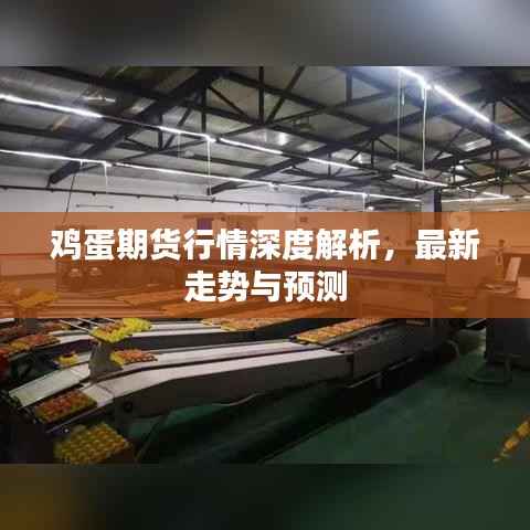 鸡蛋期货行情深度解析,最新走势与预测