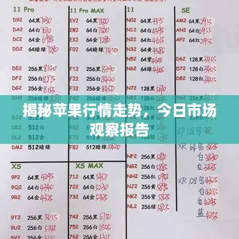 揭秘苹果行情走势，今日市场观察报告