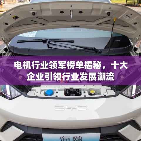 电机行业领军榜单揭秘,十大企业引领行业发展潮流