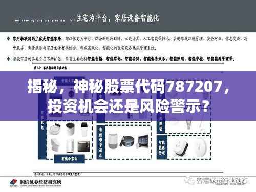 揭秘,神秘股票代码787207,投资机会还是风险警示?