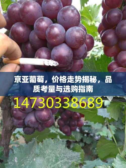 五侯七贵 第3页