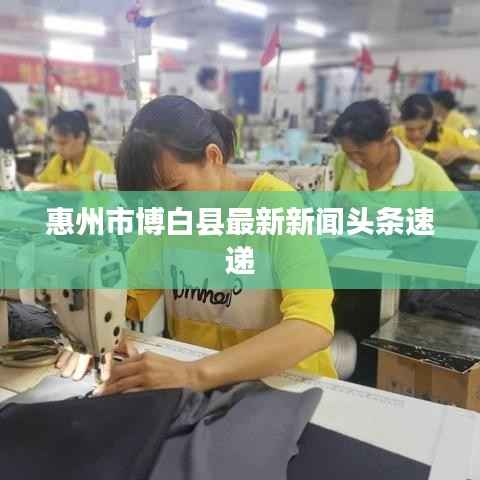 惠州市博白县最新新闻头条速递