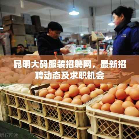 昆明大码服装招聘网,最新招聘动态及求职机会